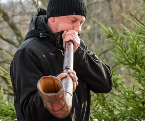 Galeria z 5 grudnia 2015 Galeria z 5 grudnia 2015