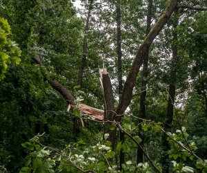 Nawałnica w Ciechanowcu Nawałnica w Ciechanowcu