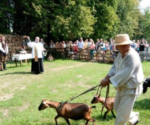 X PODLASKIE ŚWIĘTO CHLEBA