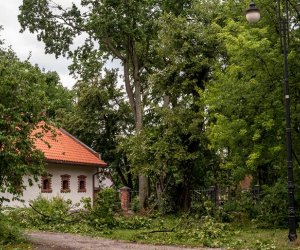 Nawałnica w Ciechanowcu Nawałnica w Ciechanowcu