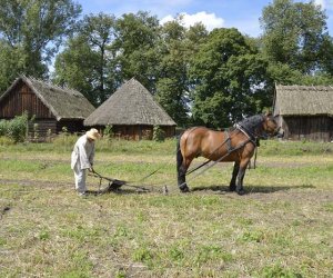 Kolejny odcinek "Księgi obyczaju" w naszym Muzeum