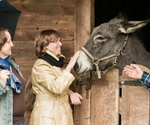 Obchody Jubileuszu 50-lecia Muzeum Rolnictwa w Ciechanowcu, 3-5 października