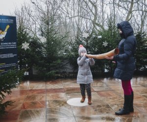 Ligawki 2017 - fotorelacja