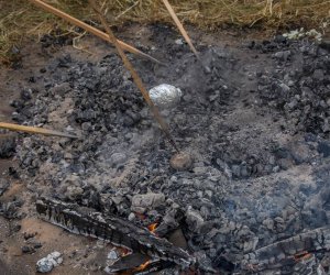 Jesień w Polu i Zagrodzie 2018 - fotorelacja Jesień w Polu i Zagrodzie 2018 - fotorelacja