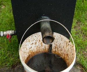 Jarmark św. Wojciecha i Święto Lasu Jarmark św. Wojciecha i Święto Lasu