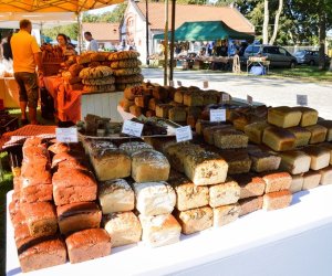 XVIII Podlaskie Święto Chleba - fotorelacja XVIII Podlaskie Święto Chleba - fotorelacja