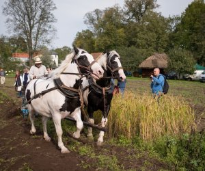 Impreza plenerowa - Jesień w Polu i Zagrodzie Impreza plenerowa - Jesień w Polu i Zagrodzie