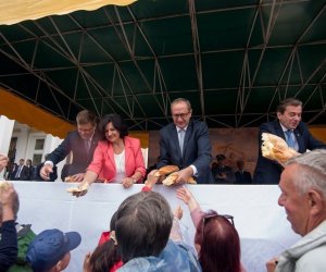 XVII Podlaskie Święto Chleba - fotorelacja XVII Podlaskie Święto Chleba - fotorelacja