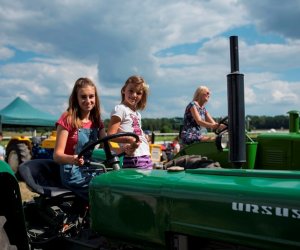 Muzeum na Pikniku Poznaj Dobrą Żywność Muzeum na Pikniku Poznaj Dobrą Żywność