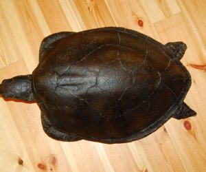 Pamiątki kolonialne "Sztuka czarnego lądu". Pamiątki kolonialne "Sztuka czarnego lądu".