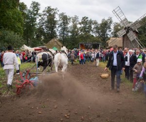 Jesień w Polu i Zagrodzie 2018 - fotorelacja Jesień w Polu i Zagrodzie 2018 - fotorelacja