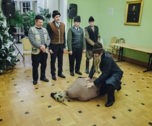 II Regionalny Przegląd Zespołów Kolędniczych - fotorelacja II Regionalny Przegląd Zespołów Kolędniczych - fotorelacja