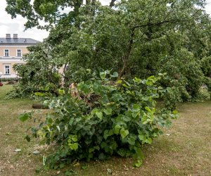 Nawałnica w Ciechanowcu Nawałnica w Ciechanowcu