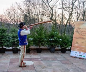 Galeria z 5 grudnia 2015 Galeria z 5 grudnia 2015