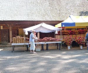 IX Podlaskie Święto Chleba IX Podlaskie Święto Chleba