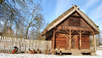 NIECOdziennik Muzealny Mieszkańcy Muzeum – „Na Kurzej Łapce”