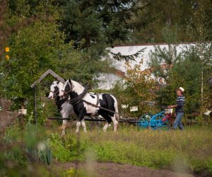 Impreza plenerowa - Jesień w Polu i Zagrodzie