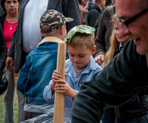 Jesień w polu i zagrodzie Jesień w polu i zagrodzie