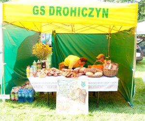 X PODLASKIE ŚWIĘTO CHLEBA