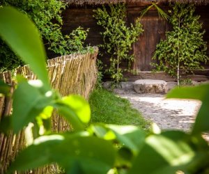 Siedem tygodni po Wielkanocy Siedem tygodni po Wielkanocy