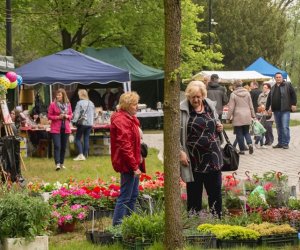 Jarmark św. Wojciecha 2019 - fotorelacja Jarmark św. Wojciecha 2019 - fotorelacja