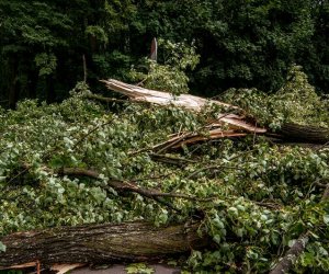 Nawałnica w Ciechanowcu Nawałnica w Ciechanowcu