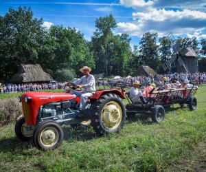 XVIII Podlaskie Święto Chleba - fotorelacja XVIII Podlaskie Święto Chleba - fotorelacja