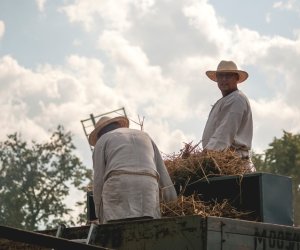 XIX Podlaskie Święto Chleba - fotorelacja XIX Podlaskie Święto Chleba - fotorelacja