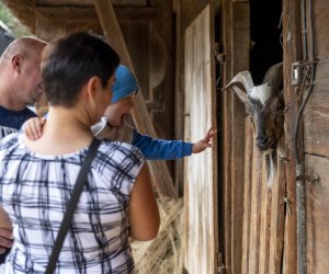 „Jesień w polu i zagrodzie” 2023 r. - fotorelacja i podsumowanie „Jesień w polu i zagrodzie” 2023 r. - fotorelacja i podsumowanie