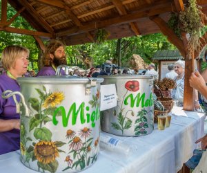 Święto Chleba po raz trzynasty Święto Chleba po raz trzynasty