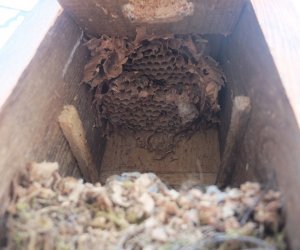 Zimowe Ptakoliczenie 2016 Zimowe Ptakoliczenie 2016