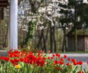 Majówka w Muzeum Majówka w Muzeum