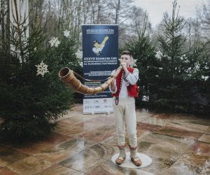 Ligawki 2017 - fotorelacja Ligawki 2017 - fotorelacja