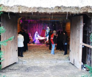 Szopka Bożonarodzeniowa