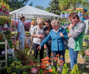 Jarmark św. Wojciecha 2024 - fotorelacja Jarmark św. Wojciecha 2024 - fotorelacja