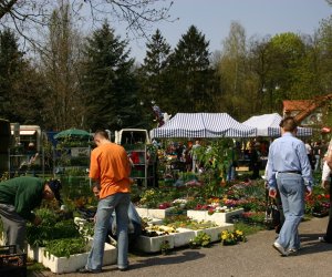 Codziennik Muzealny - Jarmark św. Wojciecha Codziennik Muzealny - Jarmark św. Wojciecha
