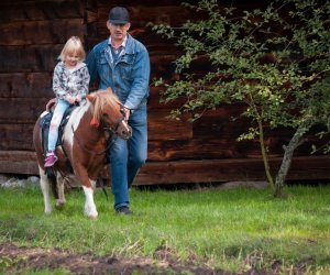 Impreza plenerowa - Jesień w Polu i Zagrodzie