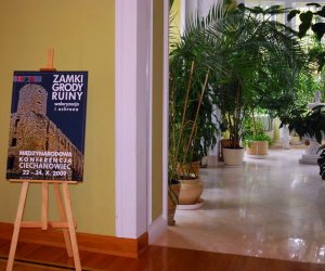 Zamki, grody, ruiny – waloryzacja i ochrona