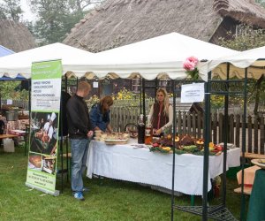 JESIEŃ W POLU I ZAGRODZIE JESIEŃ W POLU I ZAGRODZIE