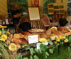 VIII PODLASKIE ŚWIĘTO CHLEBA VIII PODLASKIE ŚWIĘTO CHLEBA