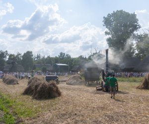 XX Podlaskie Święto Chleba - fotorelacja XX Podlaskie Święto Chleba - fotorelacja