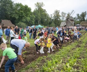 Jesień w polu i zagrodzie - fotorelacja - 15 września 2024