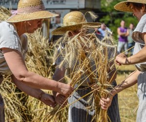 XV Podlaskie Święta Chleba w Muzeum Rolnictwa im. ks. Krzysztofa Kluka w Ciechanowcu XV Podlaskie Święta Chleba w Muzeum Rolnictwa im. ks. Krzysztofa Kluka w Ciechanowcu