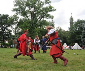 VIII Zajazd Wysokomazowiecki, 15.07.2012. VIII Zajazd Wysokomazowiecki, 15.07.2012.