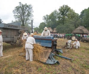 XVII Podlaskie Święto Chleba - fotorelacja XVII Podlaskie Święto Chleba - fotorelacja