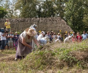 XVI Podlaskie Święto Chleba XVI Podlaskie Święto Chleba