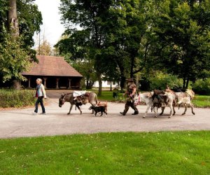 W drodze do Mongolii...