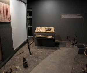 Dzieje Rolnictwa w Polsce Dzieje Rolnictwa w Polsce