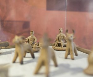 NIECOdziennik muzealny - Weterynaria NIECOdziennik muzealny - Weterynaria