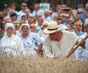 XIX Podlaskie Święto Chleba - fotorelacja XIX Podlaskie Święto Chleba - fotorelacja